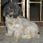 Thumbnail Photo for the Animals and Children Gallery.